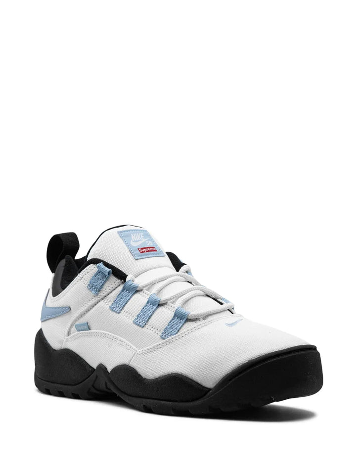 X Supreme Sb Darwin Low Sail Sneakers
