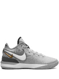 Zoom Lebron Nxxt Gen Wolf Grey Metallic Gold