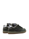 Sb Dunk Low Pro B Sneakers